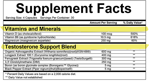 TESTOSTERONE SUPPORT